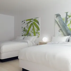 Greenpoint Hotel 3*