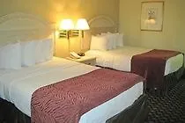 Wow Hotel