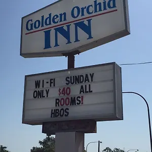Golden Orchid 2*
