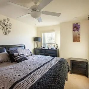 Luxurious With Privacy In 5 Bedroom With Private Pool By Florida Dream Homes Feriehus