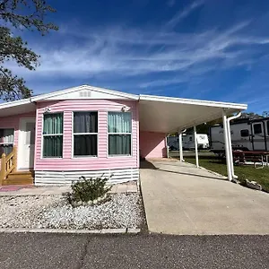 The Pink House Of Celebration