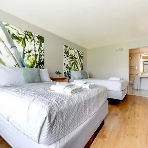 Legacy Grand In Prime Spot Mini-hôtel *